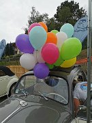 Coccinelle-Montgolfère (9)